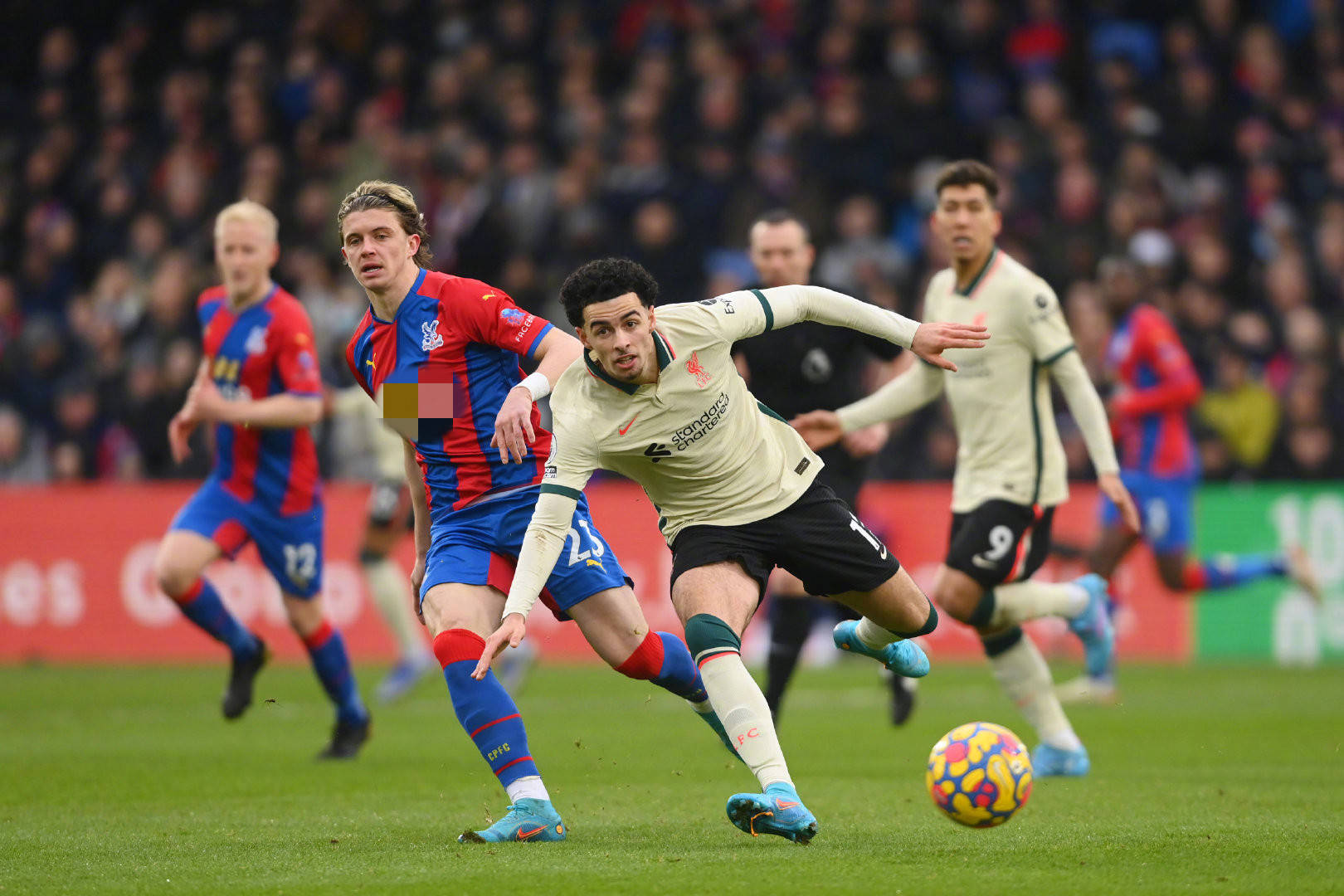 了农业的多 了农业的多